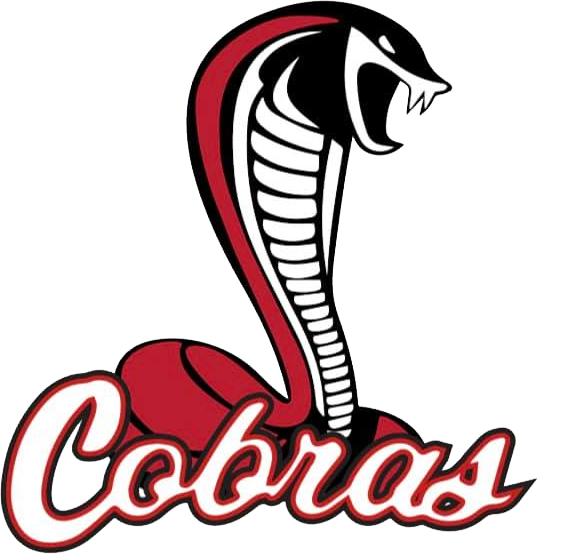 cobras team logo